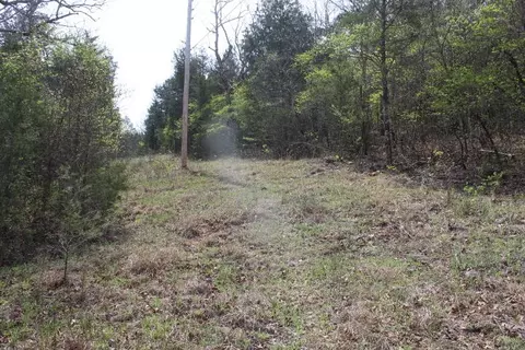 000 County Road 831, Gainesville, MO 65655 photo 28