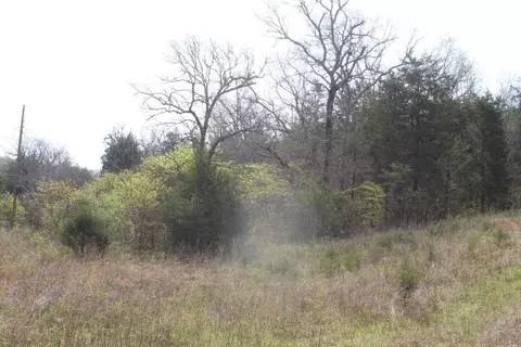 000 County Road 831, Gainesville, MO 65655 photo 12