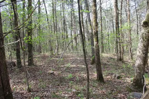 000 County Road 831, Gainesville, MO 65655 photo 24