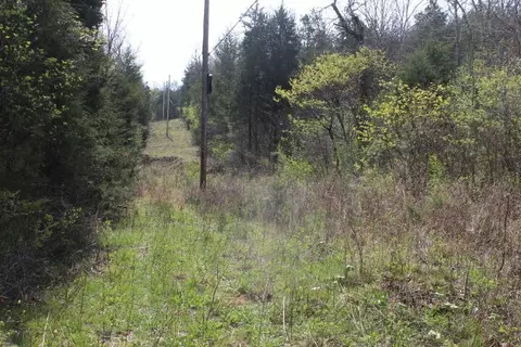 000 County Road 831, Gainesville, MO 65655 photo 13