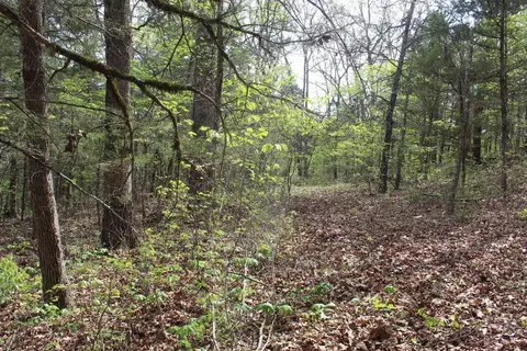 000 County Road 831, Gainesville, MO 65655 photo 35