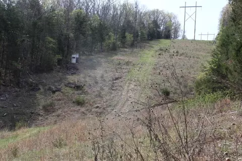 000 County Road 831, Gainesville, MO 65655 photo 32