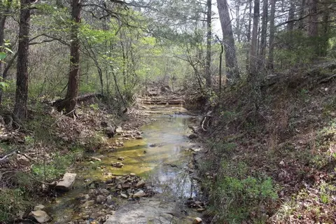 000 County Road 831, Gainesville, MO 65655 photo 19