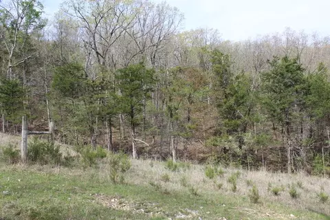 000 County Road 831, Gainesville, MO 65655 photo 2