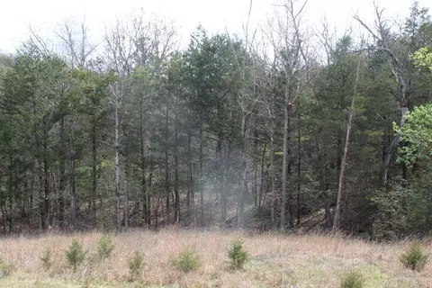 000 County Road 831, Gainesville, MO 65655 photo 31