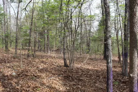 000 County Road 831, Gainesville, MO 65655 photo 6