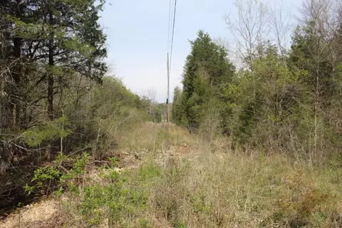 000 County Road 831, Gainesville, MO 65655 photo 17