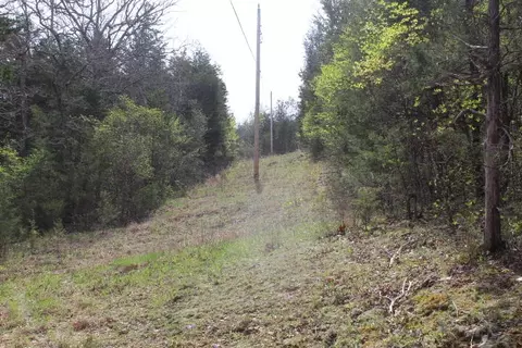 000 County Road 831, Gainesville, MO 65655 photo 14