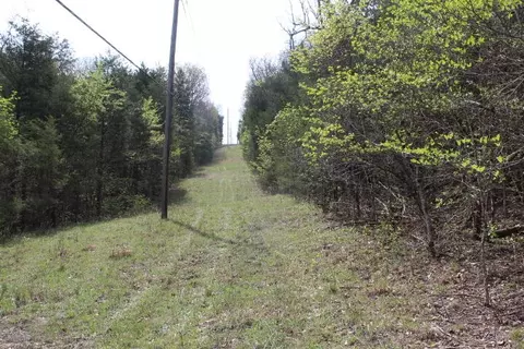 000 County Road 831, Gainesville, MO 65655 photo 38