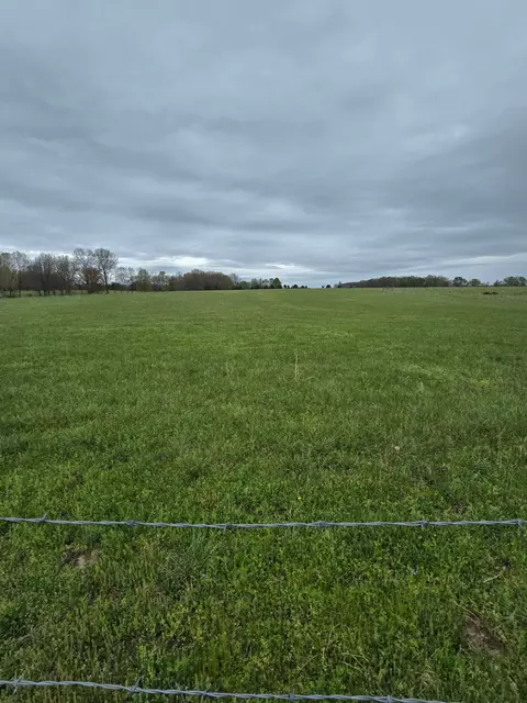 000 Adams Ln, Rogersville, MO 65742