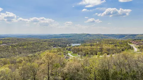View/Area - 226 Chalcedony Ct, Branson West, MO 65737 photo 13 of 13
