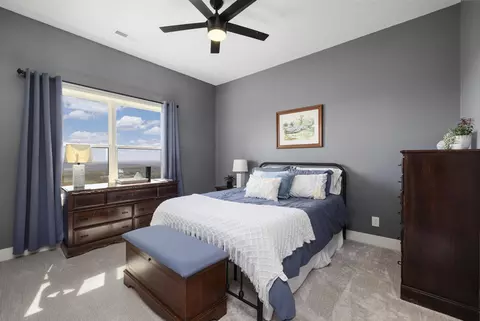 Bedroom - 226 Chalcedony Ct, Branson West, MO 65737 photo 7 of 9