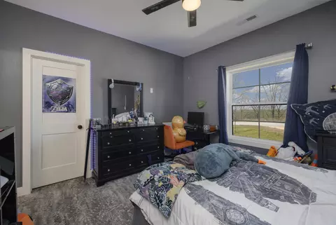Bedroom - 226 Chalcedony Ct, Branson West, MO 65737 photo 5 of 9