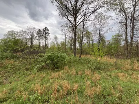 lot9 Lake Way, Winona, MO 65588