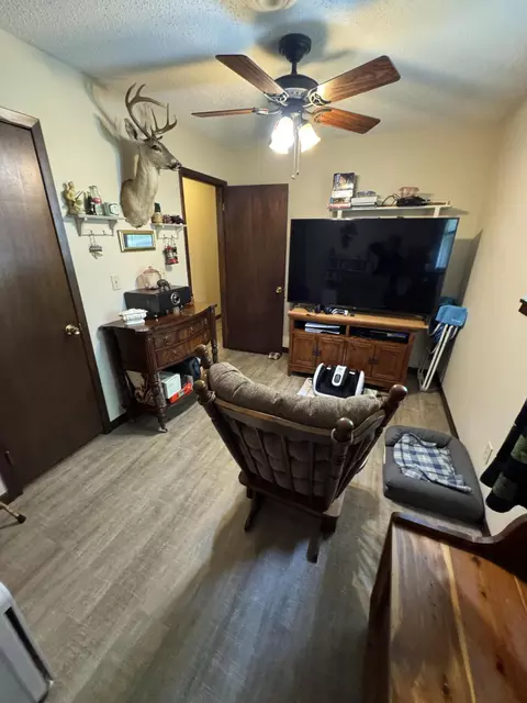 Other - 110 Dickens Cir, Forsyth, MO 65653 photo 7 of 9