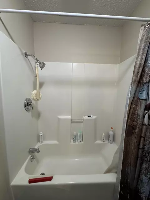 Bath - 110 Dickens Cir, Forsyth, MO 65653 photo 4 of 4
