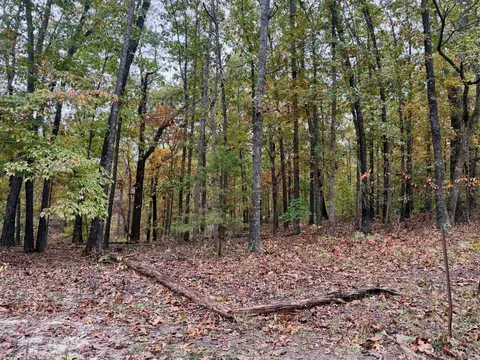 000 Spout Spring Rd, Fordland, MO 65652
