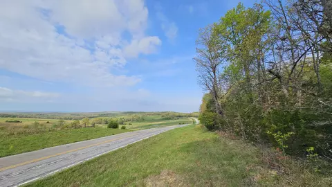 3133 State Highway W Highway 14, Dora, MO 65637