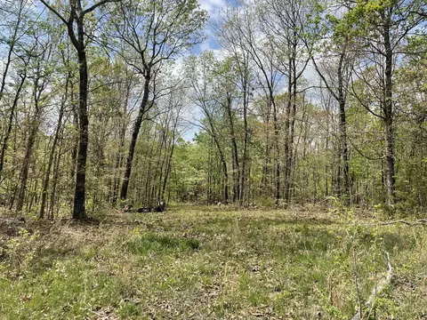 000 State Hwy N Tract B, Ava, MO 65608 photo 5