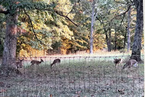 2811 County Road 14-253, Drury, MO 65638 photo 81
