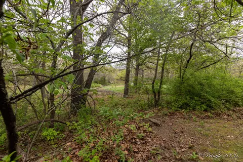 2811 County Road 14-253, Drury, MO 65638 photo 62