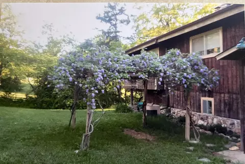 2811 County Road 14-253, Drury, MO 65638 photo 74