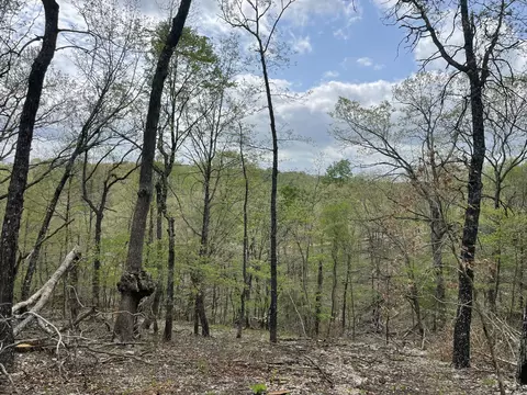 000 St Hwy N Tract E, Ava, MO 65608 photo 5
