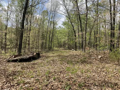 000 State Hwy N Tract G, Ava, MO 65608 photo 5