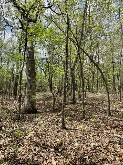 000 State Hwy N Tract G, Ava, MO 65608 photo 18