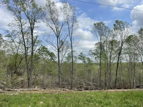 000 State Hwy N Tract G, Ava, MO 65608 photo 56