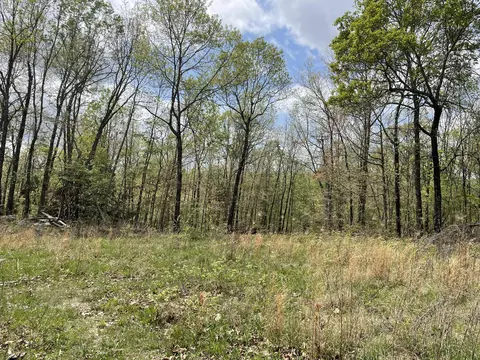 000 State Hwy N Tract G, Ava, MO 65608 photo 3