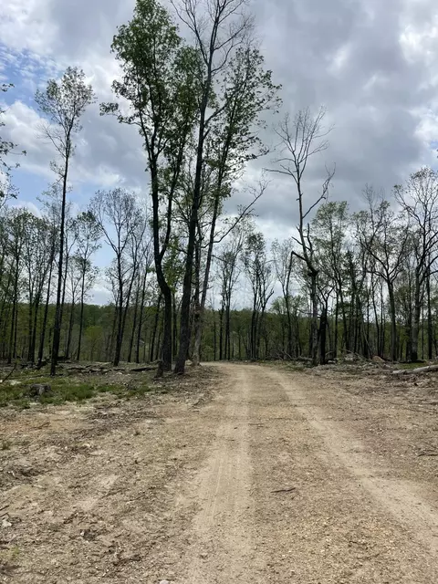 000 State Hwy N Tract G, Ava, MO 65608 photo 60