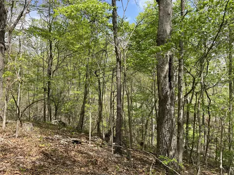 000 State Hwy N Tract G, Ava, MO 65608 photo 20