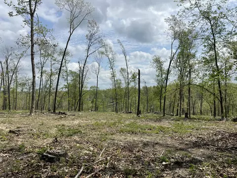 000 State Hwy N Tract G, Ava, MO 65608 photo 27
