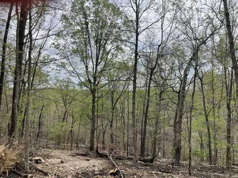000 State Hwy N Tract G, Ava, MO 65608 photo 49