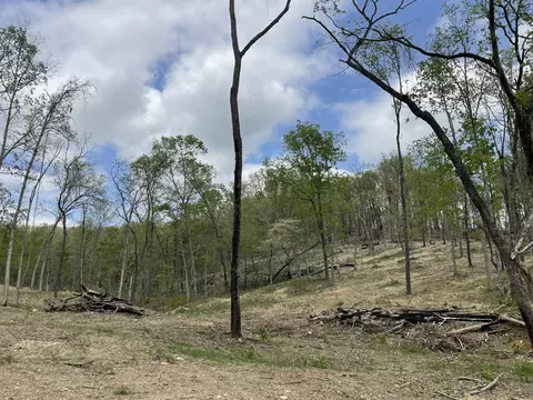 000 State Hwy N Tract G, Ava, MO 65608 photo 35