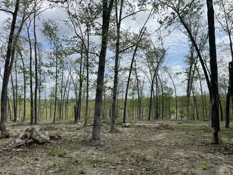 000 State Hwy N Tract G, Ava, MO 65608 photo 30