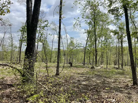 000 State Hwy N Tract G, Ava, MO 65608 photo 26