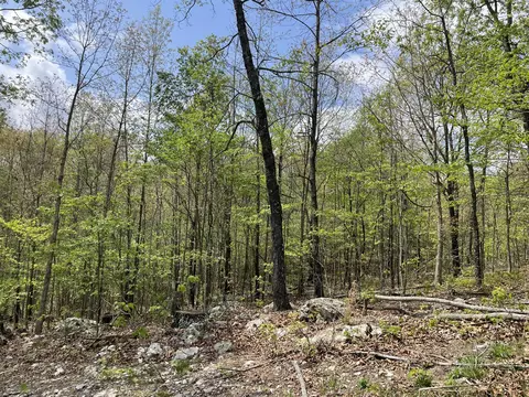 000 State Hwy N Tract G, Ava, MO 65608 photo 8