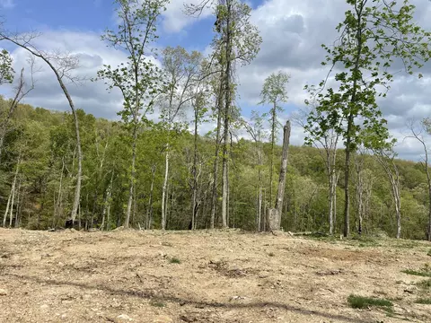 000 State Hwy N Tract G, Ava, MO 65608 photo 31