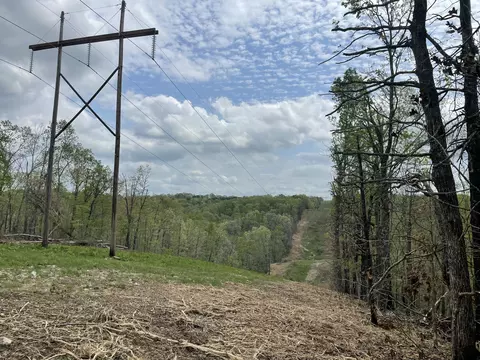 000 State Hwy N Tract G, Ava, MO 65608 photo 59