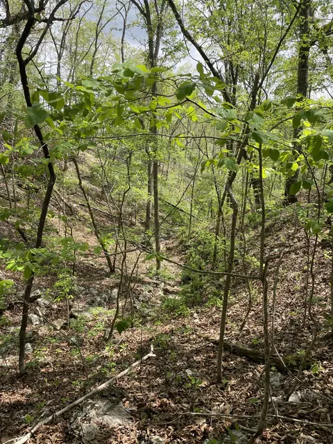 000 State Hwy N Tract G, Ava, MO 65608 photo 14