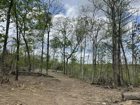000 State Hwy N Tract G, Ava, MO 65608 photo 36
