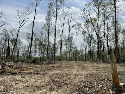 000 State Hwy N Tract G, Ava, MO 65608 photo 42