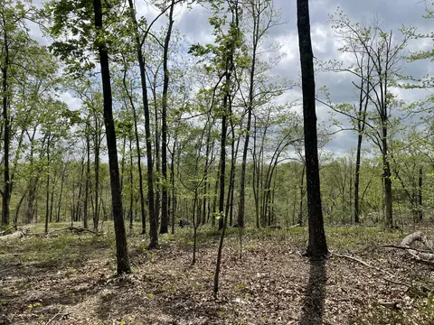 000 State Hwy N Tract G, Ava, MO 65608 photo 25