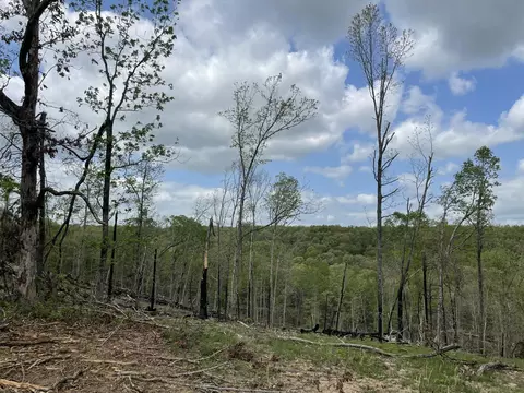 000 State Hwy N Tract G, Ava, MO 65608 photo 37