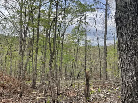 000 State Hwy N Tract G, Ava, MO 65608 photo 58