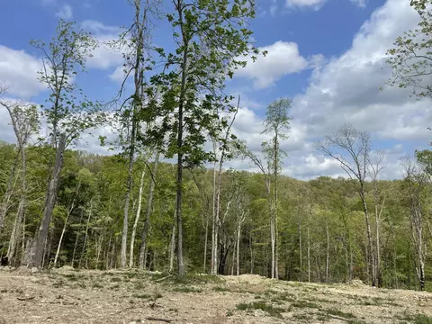 000 State Hwy N Tract G, Ava, MO 65608 photo 33
