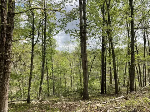 000 State Hwy N Tract G, Ava, MO 65608 photo 21