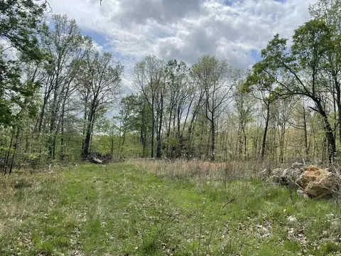 000 State Hwy N Tract G, Ava, MO 65608 photo 2